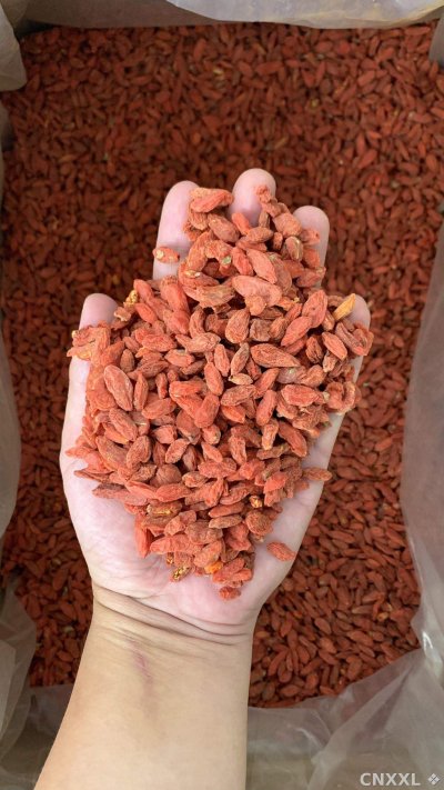 spice_25883_d93fd010_2.jpg
