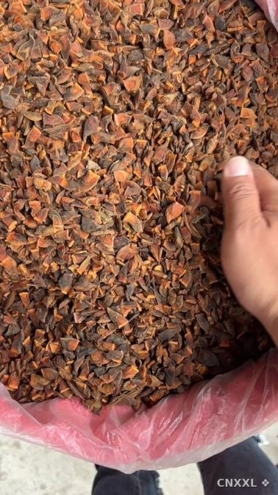 spice_25885_fa021cf0_1.jpg