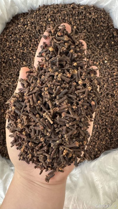 spice_25890_0844f693_2.jpg
