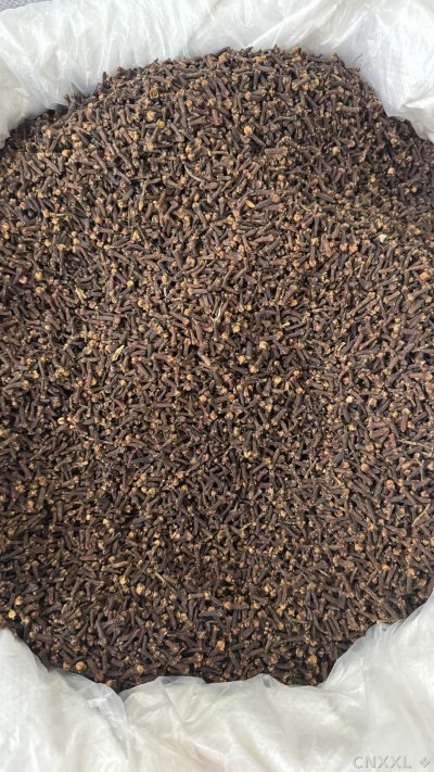spice_25890_ff384435_3.jpg
