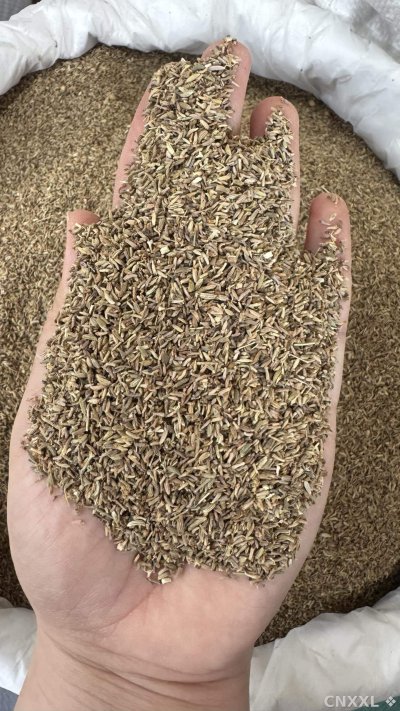 spice_25895_50a0f1cb_1.jpg