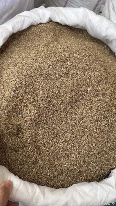 spice_25895_e033d9c2_3.jpg
