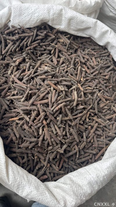 spice_25896_e39b5f10_3.jpg