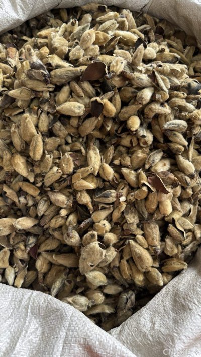 spice_25898_bc24c0b9_3.jpg