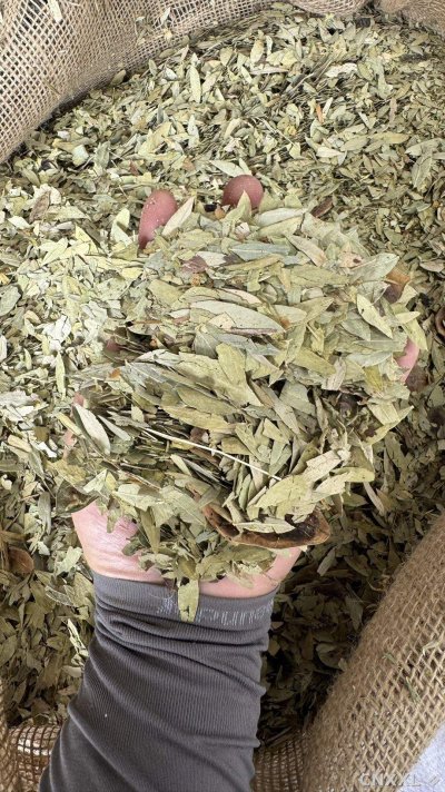 spice_25903_23bb2cb6_2.jpg