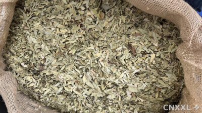 spice_25903_f4cb21f0_3.jpg