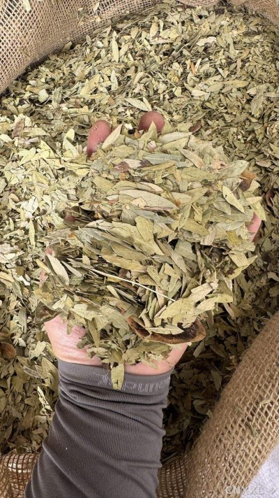 spice_25903_fcea1ab2_1.jpg