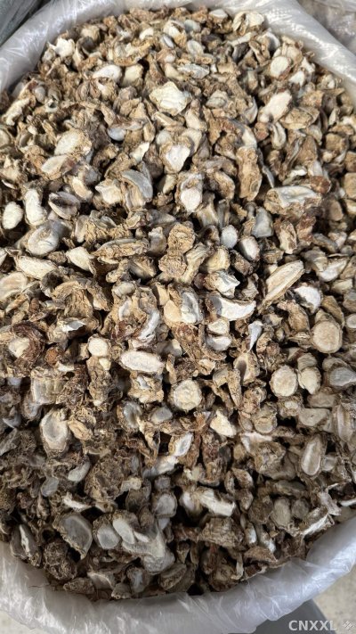 spice_25905_6dc98517_3.jpg