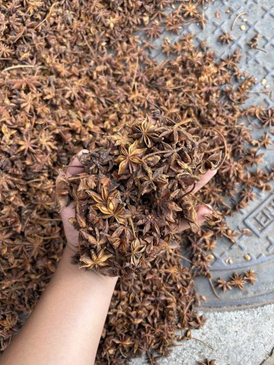spice_25917_a0cbec15_3.jpg