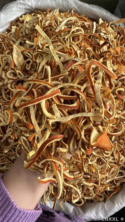 spice_25918_3a3516f9_1.jpg