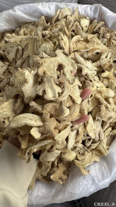 spice_25931_9eac9b03_2.jpg