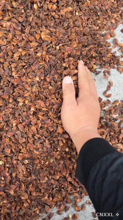 spice_25934_de49e1ac_1.jpg