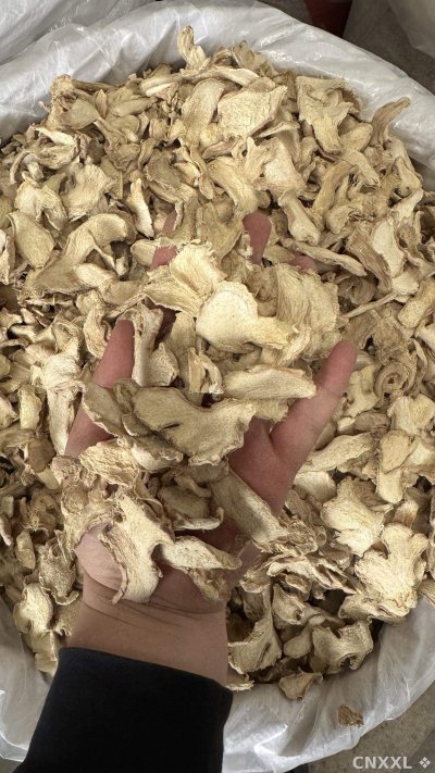 spice_25936_6acaa4fa_1.jpg