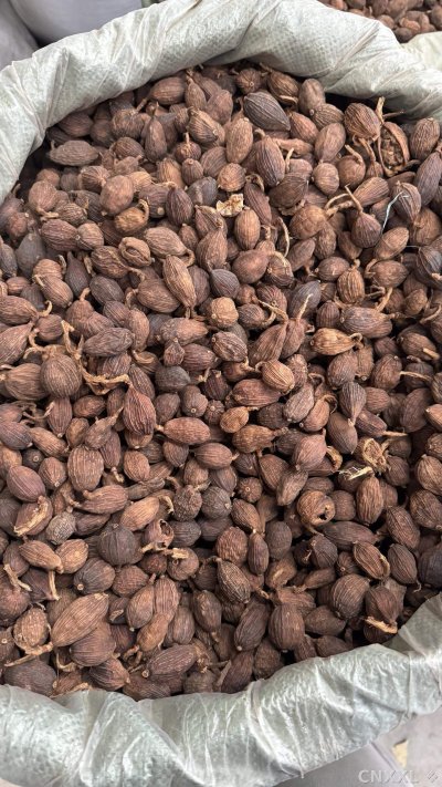 spice_25937_cc94579e_3.jpg