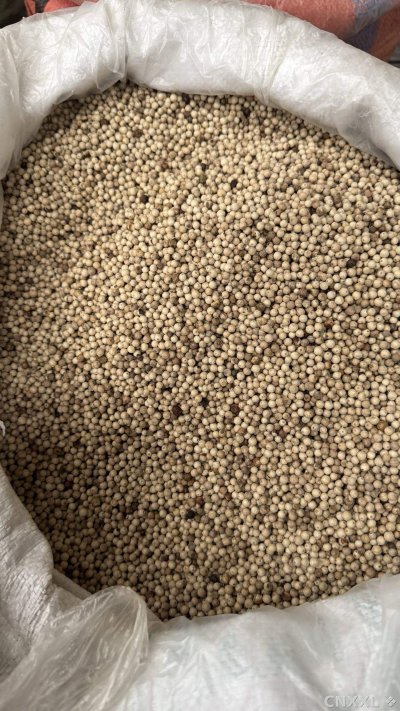 spice_25938_0be90170_3.jpg
