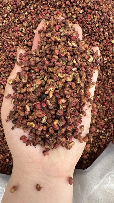 spice_25951_50c7f56d_2.jpg