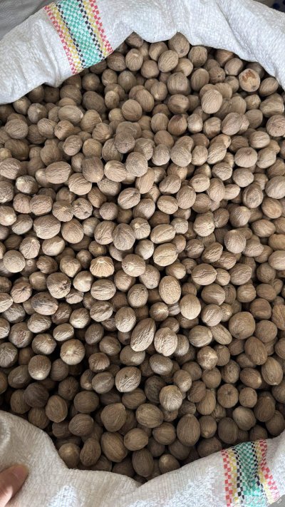 spice_25955_e0ee3aa3_3.jpg