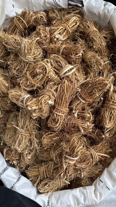spice_25968_96b2a2ef_3.jpg