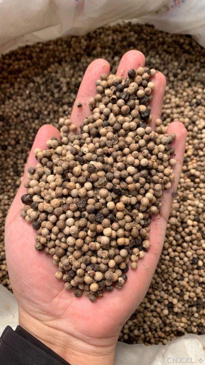 spice_25976_4cef04f9_1.jpg