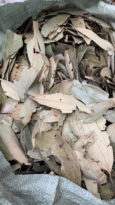spice_25979_66317f1b_3.jpg