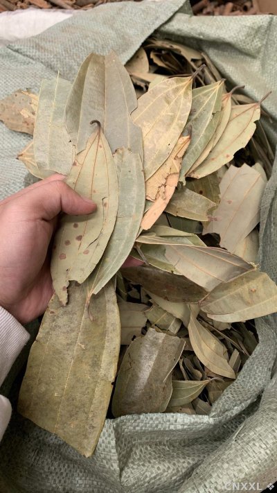 spice_25979_9573f8b3_1.jpg