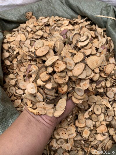spice_25980_e0e0f36d_1.jpg