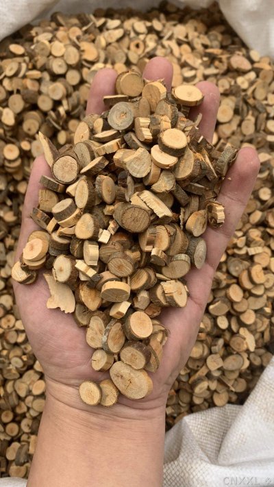 spice_25982_1e91397e_1.jpg