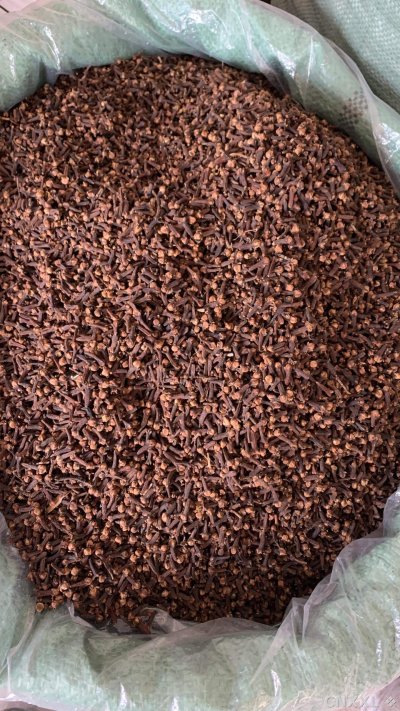 spice_25983_34aefd95_3.jpg
