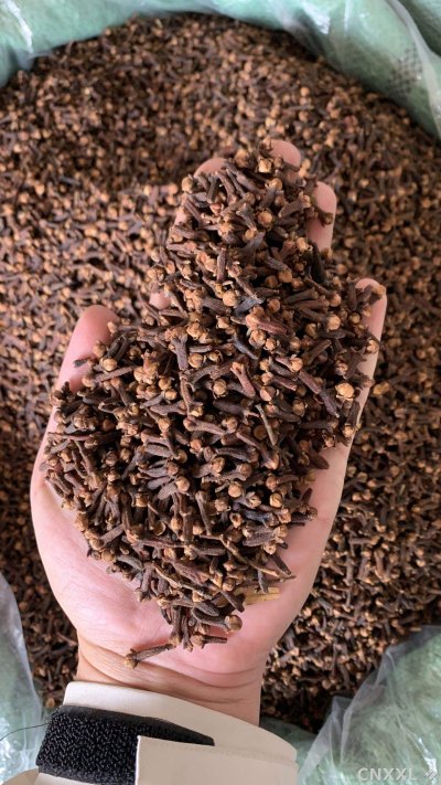 spice_25983_abc5f904_1.jpg