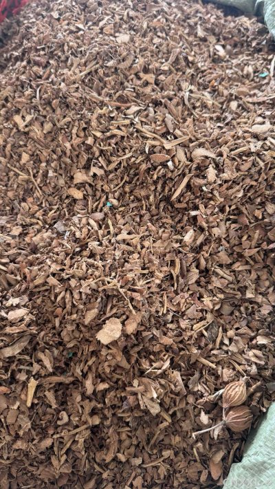 spice_25985_c5ee4ef8_3.jpg
