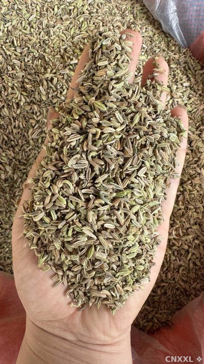 spice_25990_de0b07e8_2.jpg