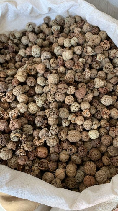 spice_25991_3f05cba2_3.jpg