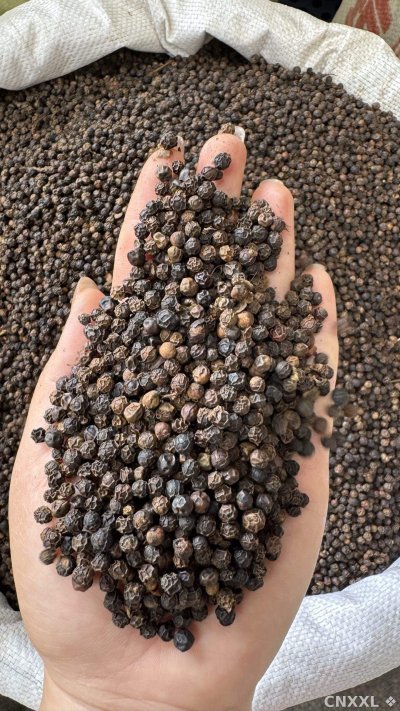 spice_25995_c4f0167d_1.jpg