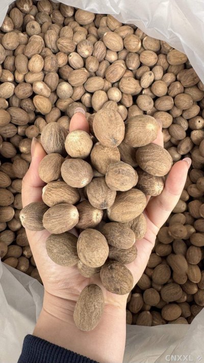 spice_26003_cbe619fa_2.jpg