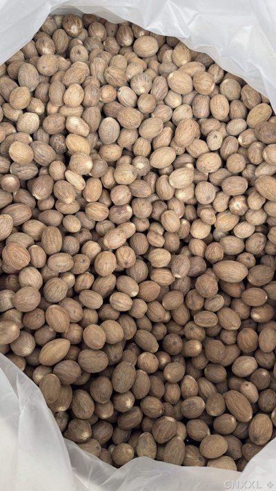 spice_26003_e1c8aa42_3.jpg