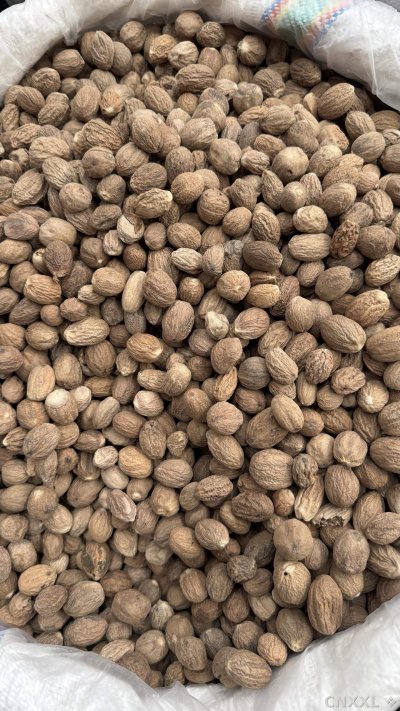 spice_26004_b0a33ea1_3.jpg