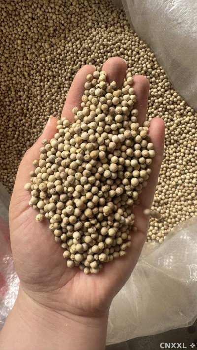 spice_26009_dfe0b890_2.jpg