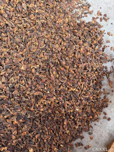 spice_26012_ba8fd131_3.jpg