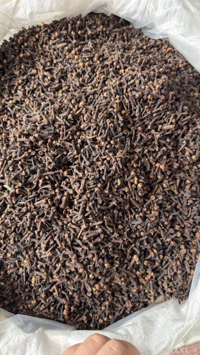spice_26015_c3205185_3.jpg
