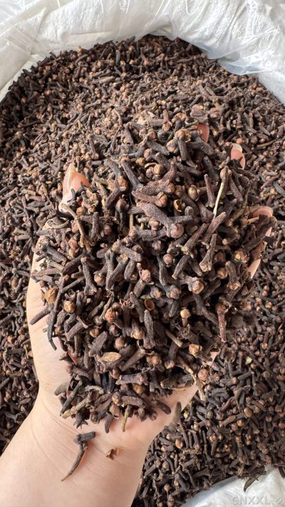 spice_26015_f8fde500_2.jpg
