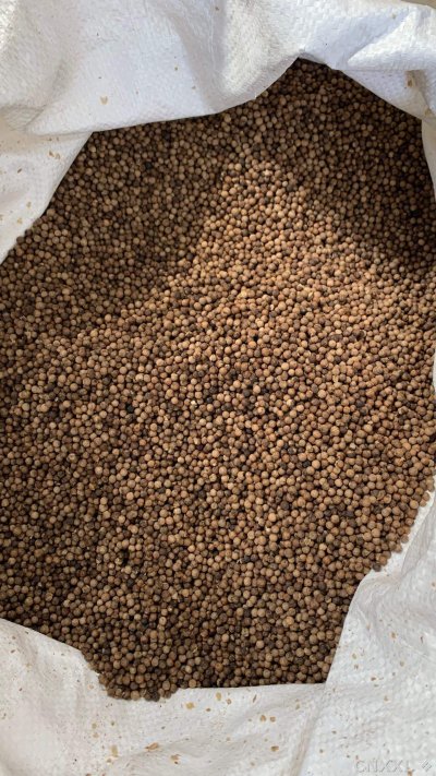 spice_26016_6c07057a_3.jpg