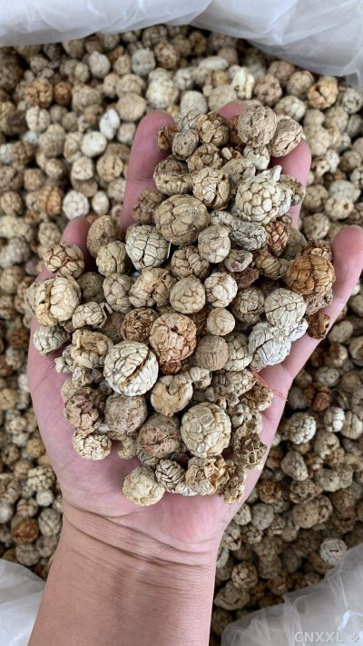 spice_26020_d3fa6f45_2.jpg