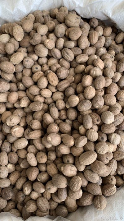 spice_26023_3fd0eab0_3.jpg