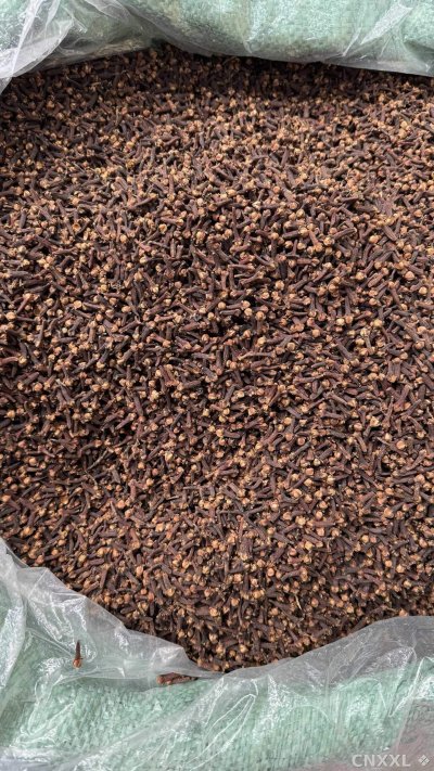 spice_26030_78b7a306_3.jpg