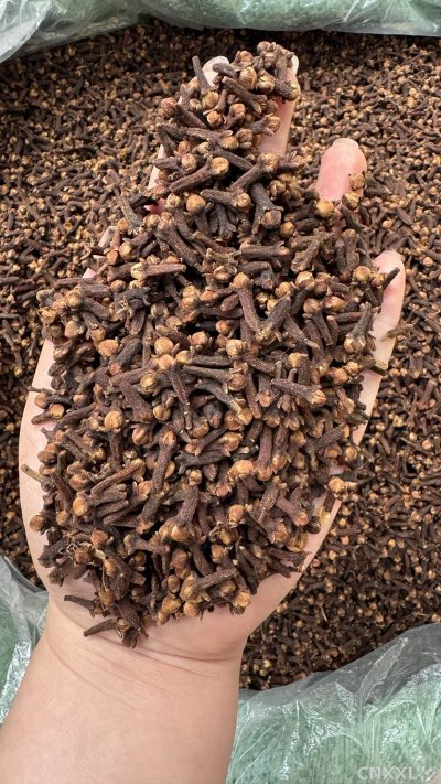 spice_26030_a17641fa_1.jpg