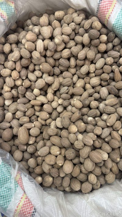 spice_26032_a008463d_3.jpg