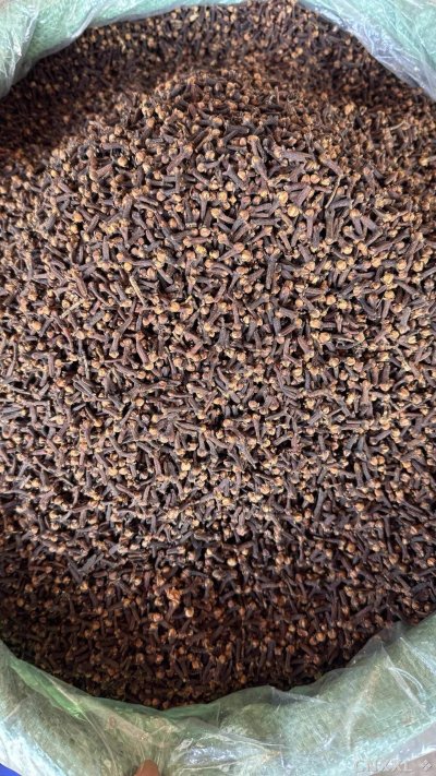 spice_26037_d20da8c5_3.jpg