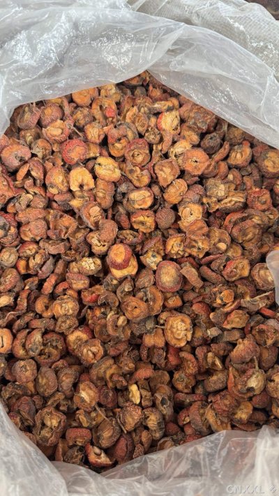 spice_26039_7f6abf58_2.jpg