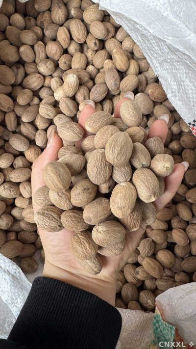 spice_26040_f54b16b4_1.jpg