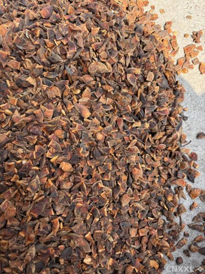 spice_26046_0a8681ab_3.jpg